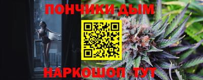 крисы Славгород