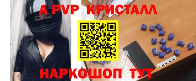 крисы Славгород