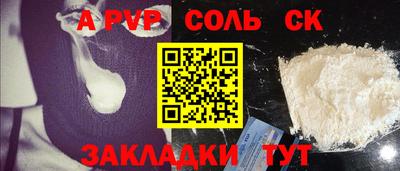 крисы Славгород