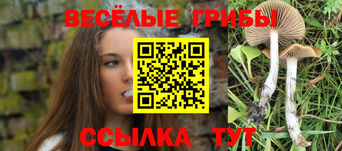 Псилоцибиновые грибы MAGIC MUSHROOMS  Вход с VPN  Краснокамск  цены   Псилоцибиновые грибы ЛСД 