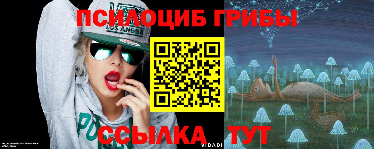 Псилоцибиновые грибы прущие грибы Краснокамск